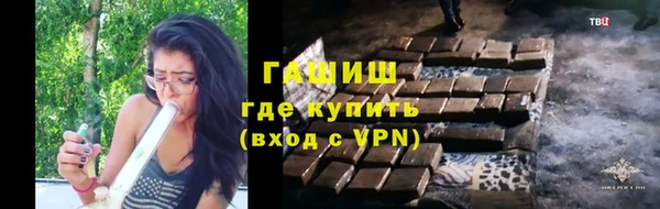 индика Балахна