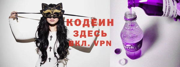 индика Балахна