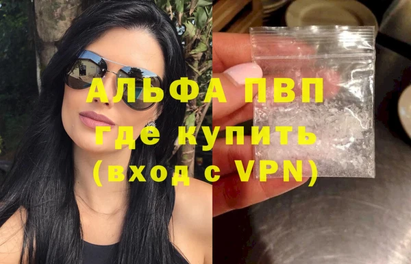 индика Балахна
